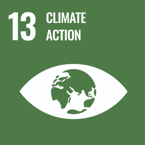 (13) Adoptar medidas urgentes para combatir el cambio climático y sus efectos.