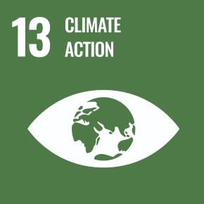 (13) Bekämpa klimatförändringarna.